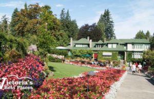 Mother’s Day in Victoria Mother's Day in Victoria