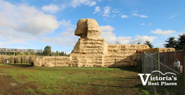 Egyptian Sphinx at Galey Farms