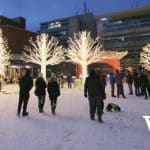 Victoria Lights of Wonder